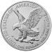 USA 1 dollar 2022 American Eagle | 1 oz Silver BU